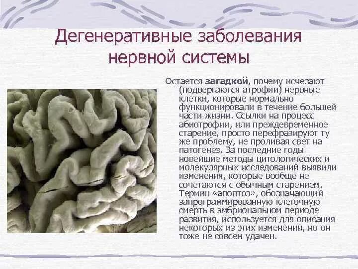 Заболевания нервной системы. Дегенеративные нарушения нервной системы. Дегенеративные заболевания ЦНС. Дегенеративные процессы ЦНС.