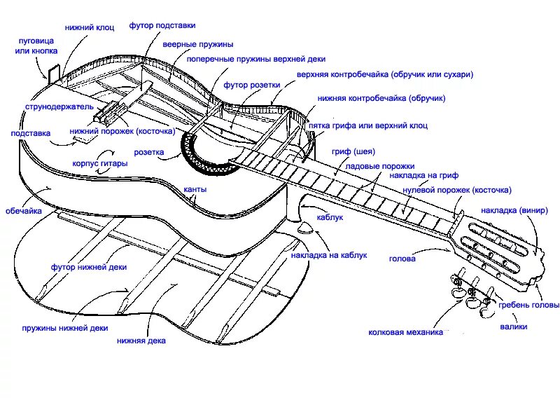 Строение акустической гитары схема. Устройство классической гитары схема. Строение гитары акустической. Строение гитары акустической 6 струнной.