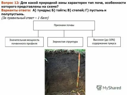 Для этой природной зоны характерны