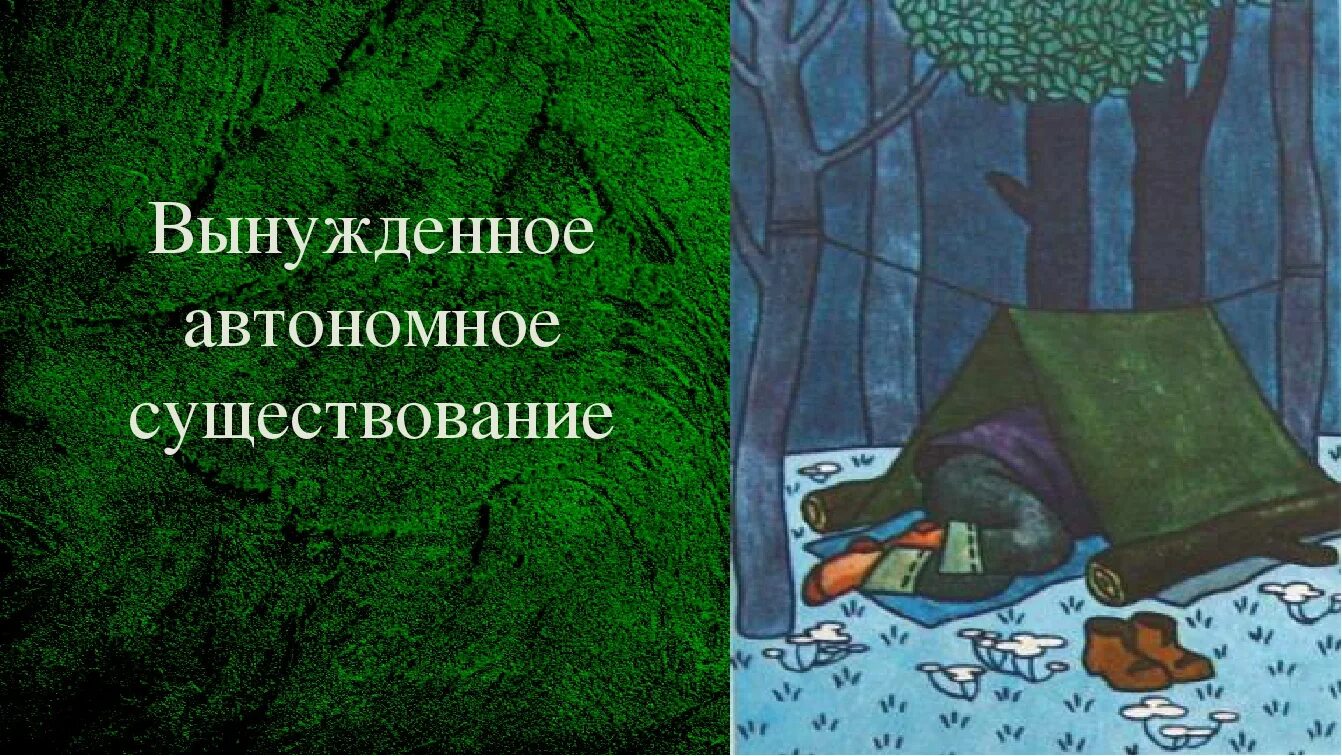 Автономное существование презентация. Вынужденное автономное существование. Автономное существование человека в природе. Автономное пребывание человека в среде это. Причины автономного существования в природе.