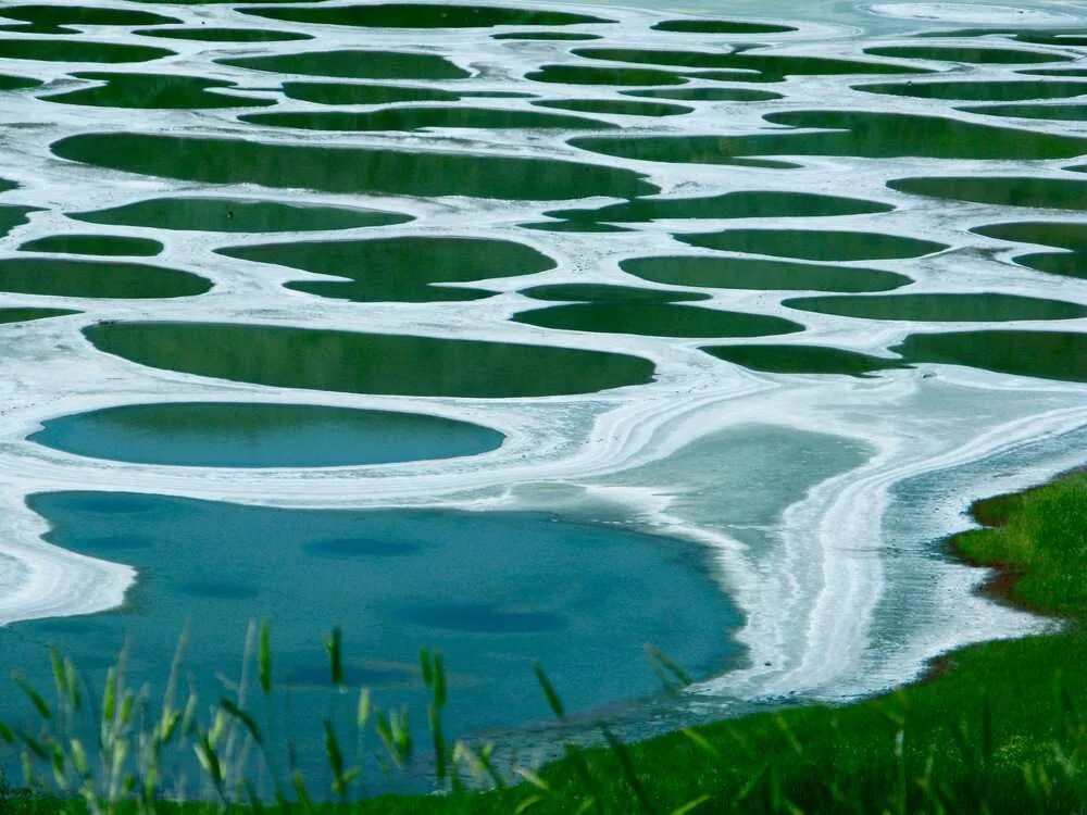 Большая часть воды. Озеро Клилук Канада. Озеро Клилук пятнистое озеро. Клилук пятнистое озеро в Канаде. Озеро споттед-Лейк (spotted Lake), Канада.