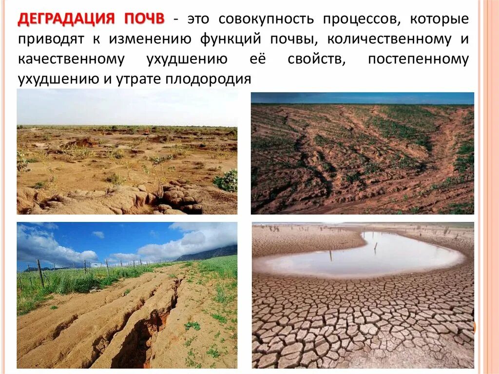 Деградация почв. Эрозия и деградация почв. Проблема деградации почв. Истощение и эрозия почв.