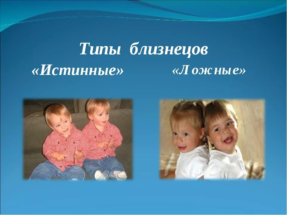 Какая работа близнецы