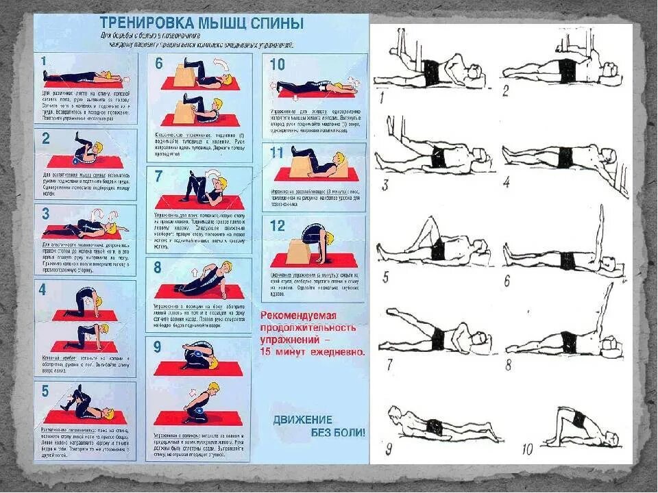 Как укрепить спину в домашних условиях женщине. ЛФК при остеохондрозе и сколиозе позвоночника. ЛФК упражнения для укрепления мышц позвоночника. Комплекс упражнений ЛФК для укрепления мышц позвоночника.