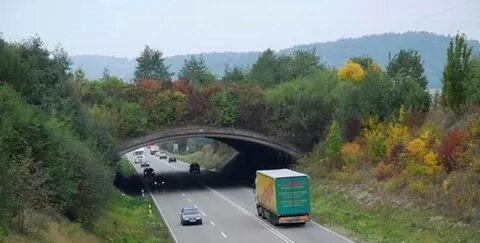 Экологический переход