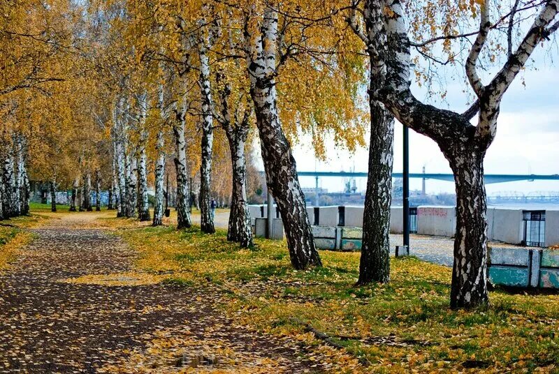 Пермь от набережных челнов