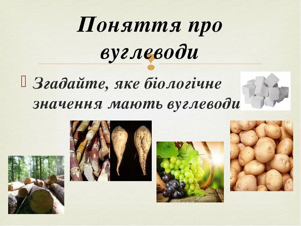 Вуглеводи для презентації. Хімічні властивості глюкози. Мати значення