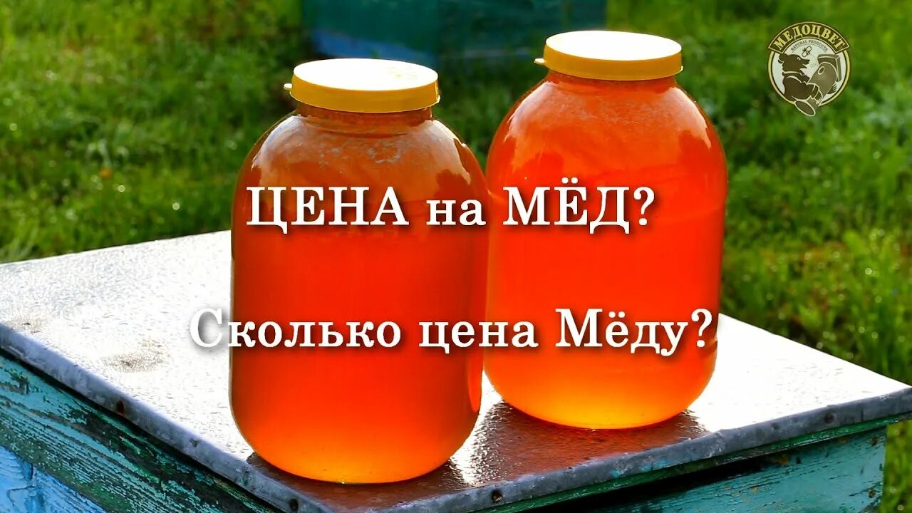 Сколько меда в трехлитровой. Сколько стоит мед. Самый дорогой мед. Самый дорогой мёд в мире. Стоимость меда в 2022 году.