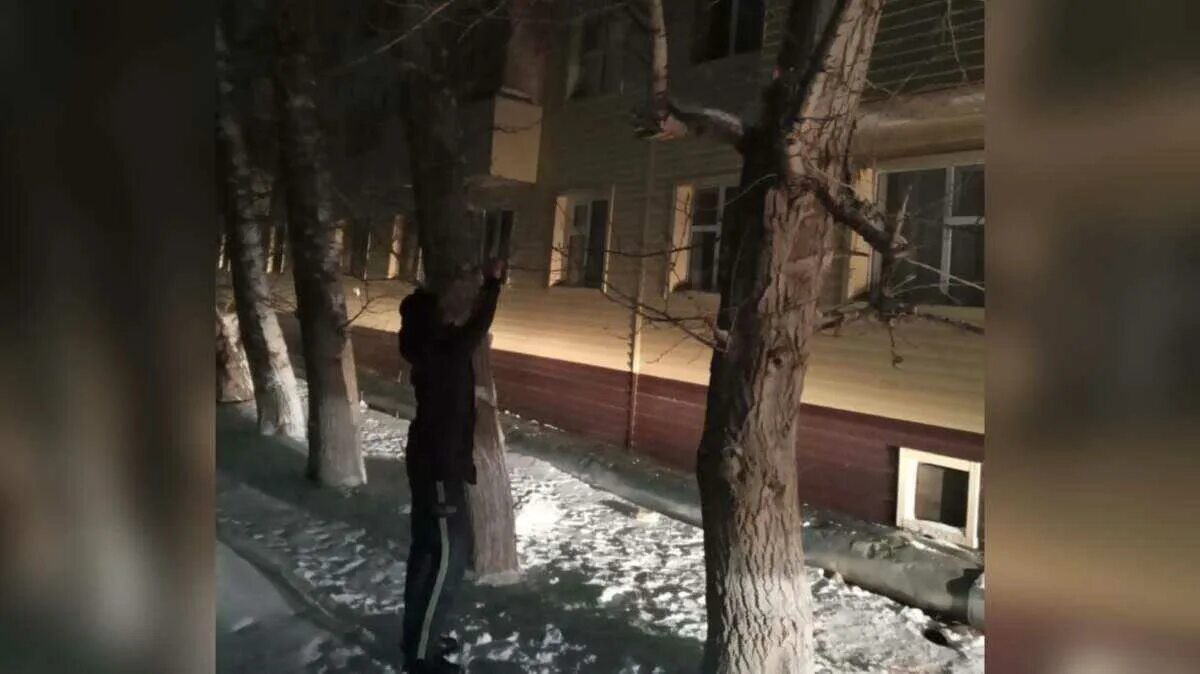 Девушка выпала из окна в пензе. Ребенок выпал из окна пенза. Девушка выпала из окна в пензе. Виды окон. Девушка выпала из окна пенза.