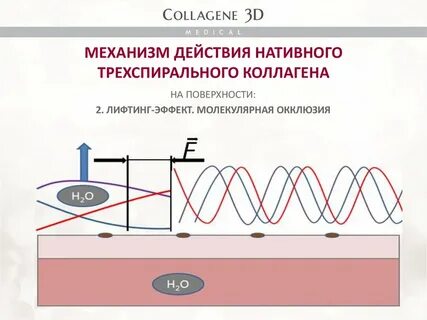 Нативный коллаген