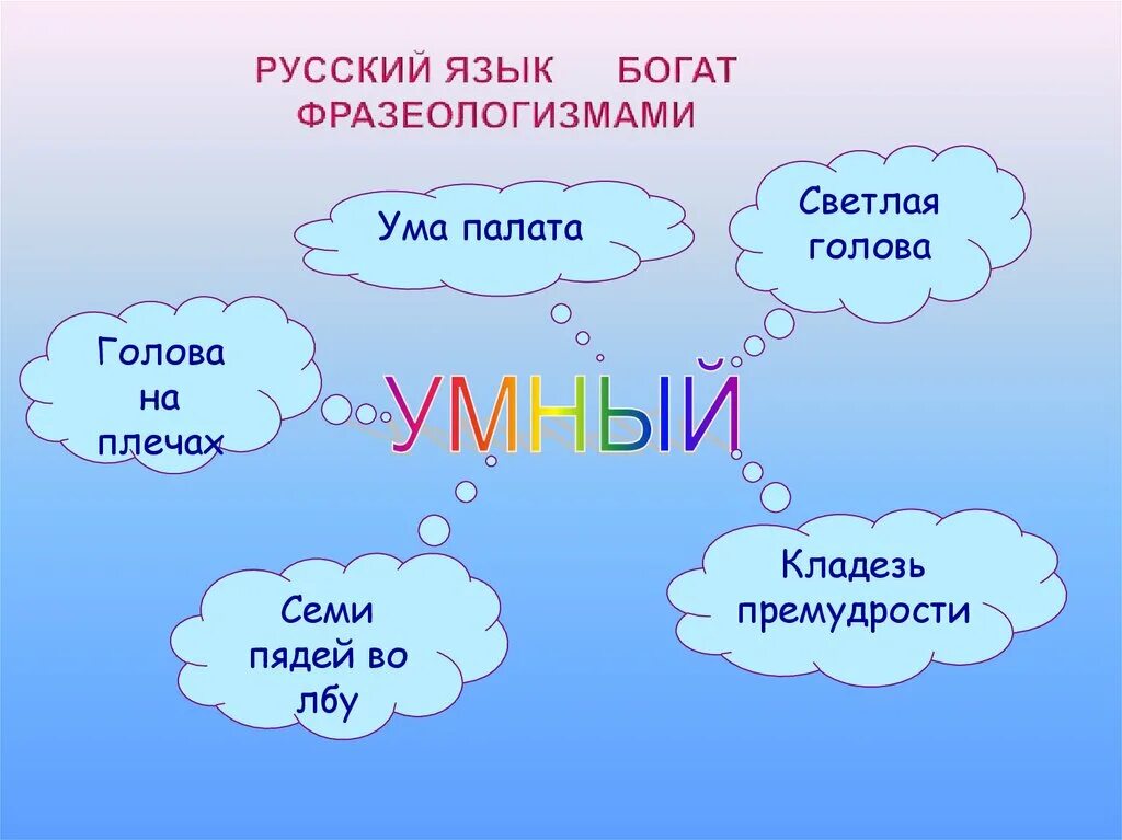 Семи пядей во лбу фразеологизм. Семи пядей во лбу значение фразеологизма. Заменить фразеологизм одним прилагательным семи пядей во лбу. Семь пядей во лбу рисунок.