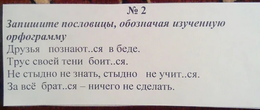 Пословицы слова огонь. Пословицы с орфограммами. Поговорки с орфограммой. Пословицы с орфограммами 2 класс. Три пословицы с орфограммой.