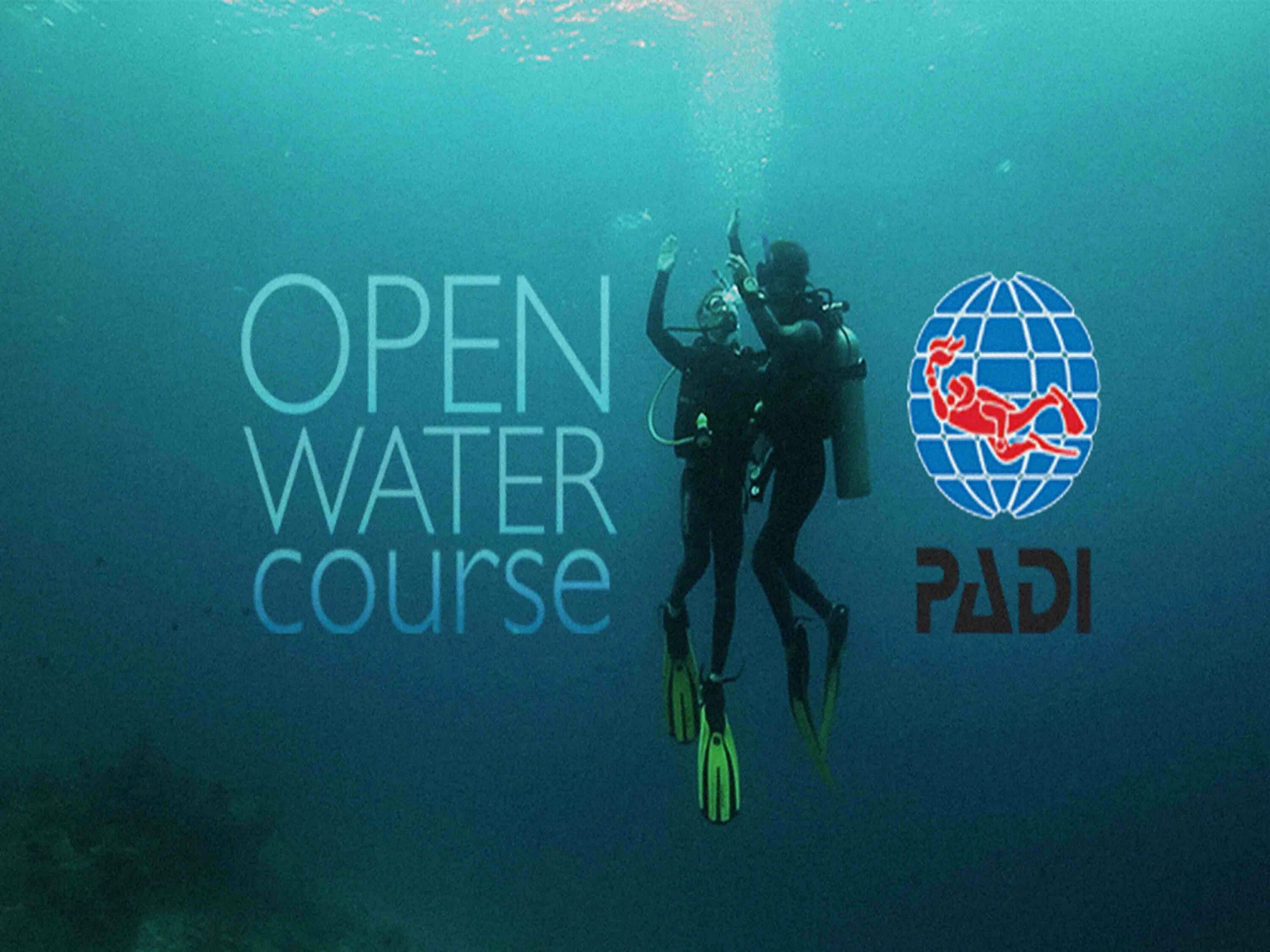 Padi open. Padi OWD сертификат. Open Water Diver сертификат. Padi дайвинг ступени. Сертификат дайвера Padi.