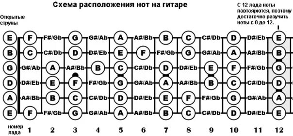 Схема длительности нот. Схема длительности нот. Схема нот. Ноты длительность нот. Гриф электрогитары ноты.