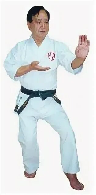 Japanese karate. Japanese karate