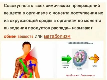 Орган отвечающий за обработку информации