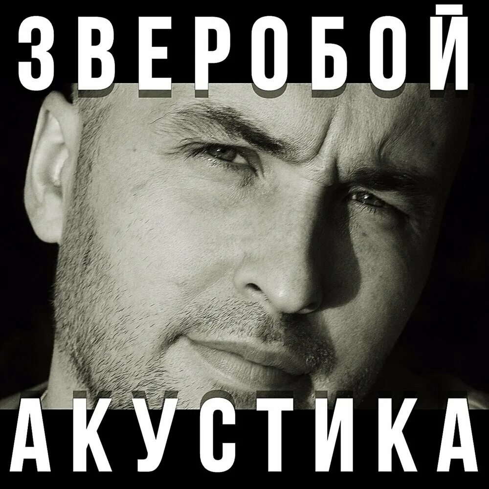 Зверопой прослушивание. Зверопой слушать. Багульник болотный и зверобой продырявленный. Группа зверобой. Зверопой слушать.