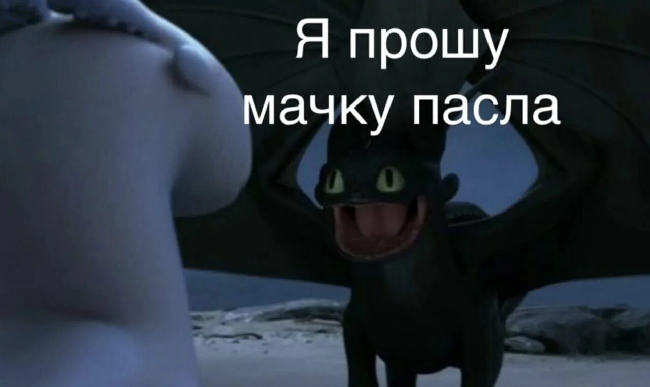 Чачку пипсов. Чачку пипсов