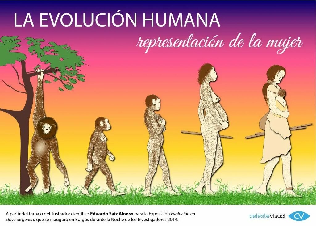 Evolution study