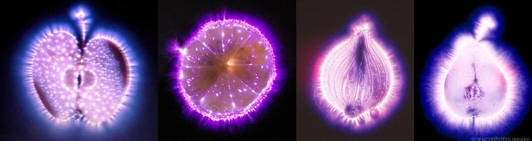 Аура ревда. Белый цвет ауры. Биополе метод кирлиана. Аура ревда. Кирлиан аура кедра.