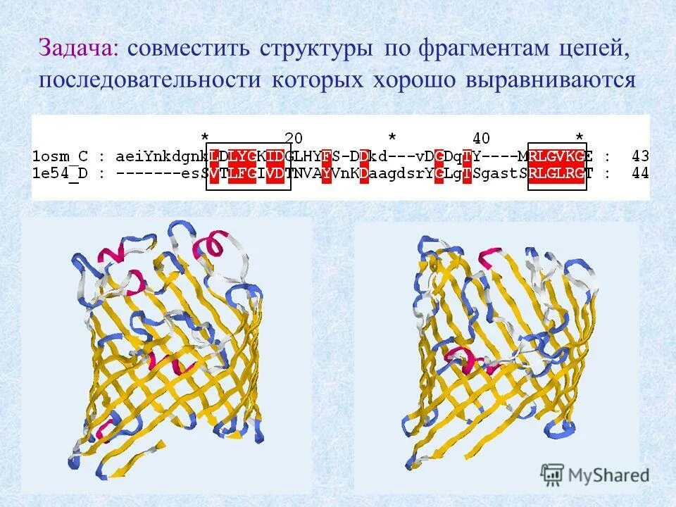 структура полипептидной цепи. полипептидные цепи в мембране. полипептидные цепи в мембране. связи в полипептидной цепи. атф синтаза f1 f0.