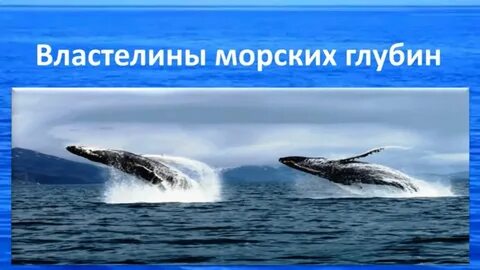 Какую страну назвали в честь морских глубин