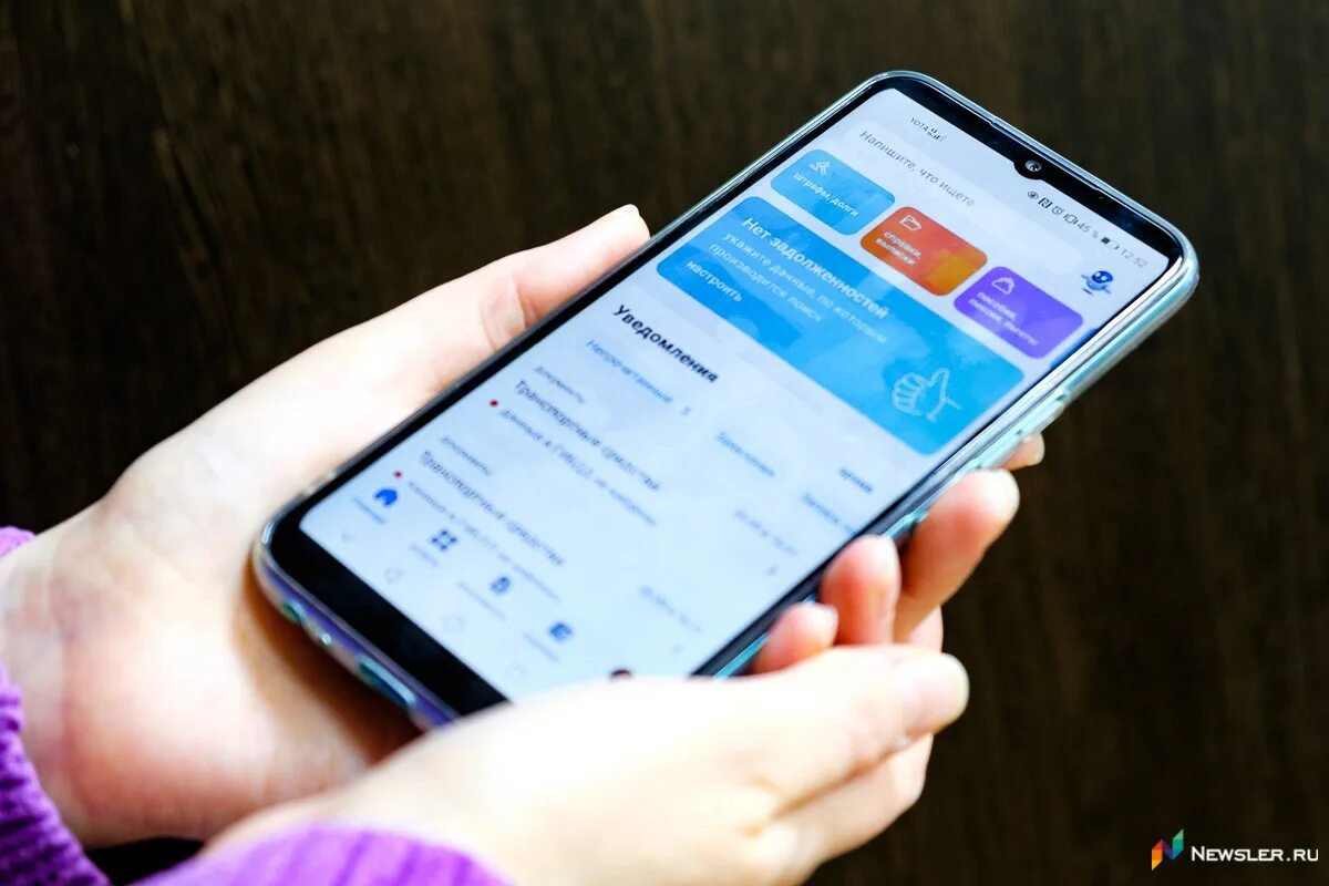 Госуслуги для бизнеса. Госскан. Госуслуги 2023 год. Госскан. Проверка товара.