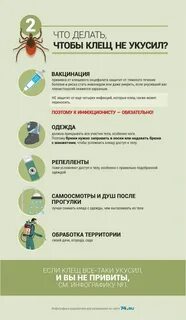 Симптомы энцефалита после укуса