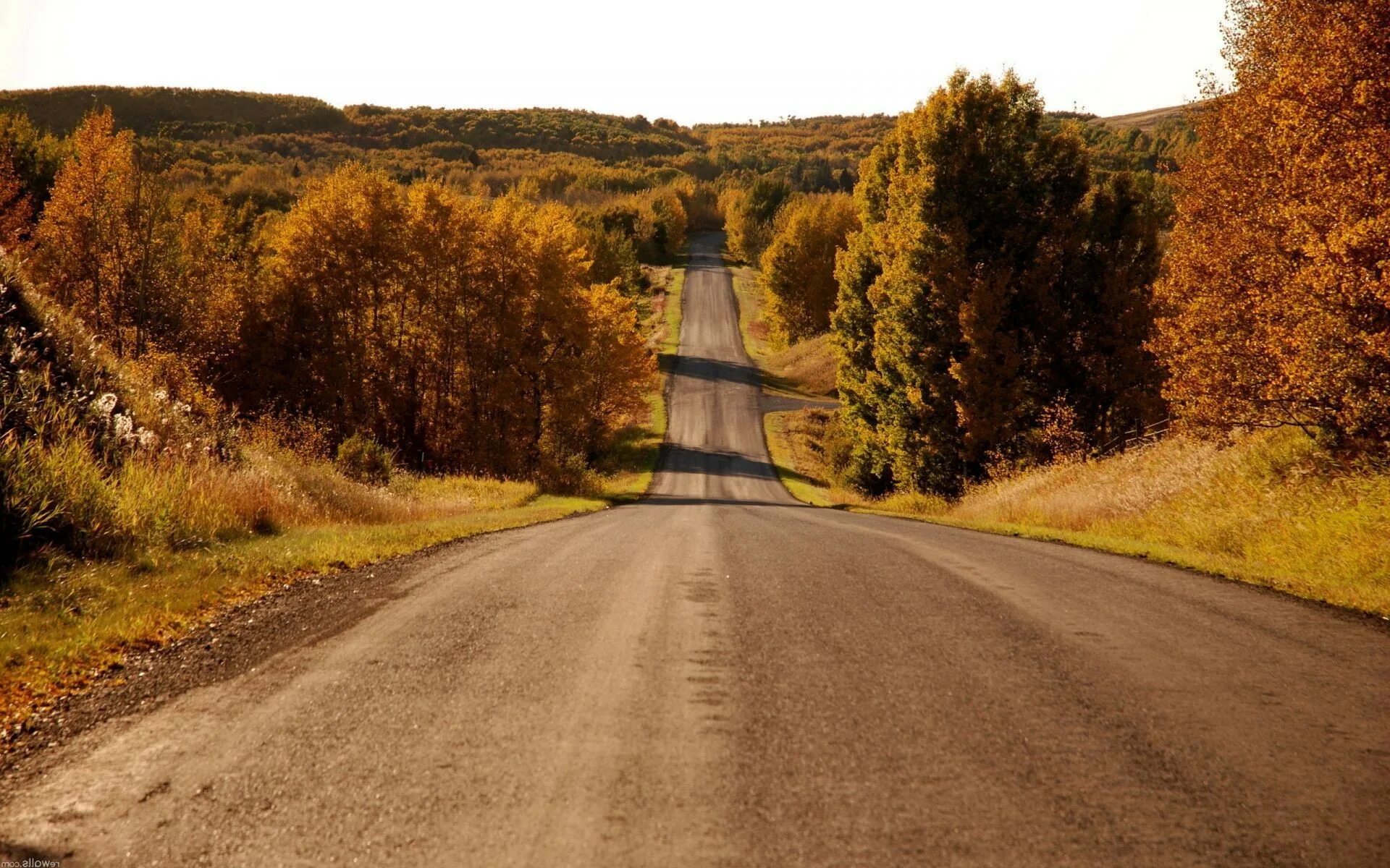 Природа дорога. Дорога в осень. Красивый пейзаж с дорогой. Красивые дороги.