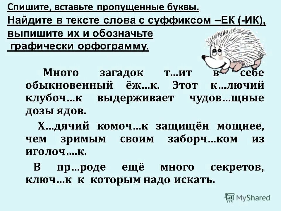 суффиксы задания