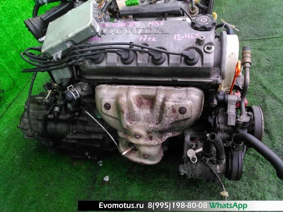 Дром купить мотор. Honda d16a. Двигатель Honda d16a. Мотор д16 Хонда. Двигатель Хонда d16b.