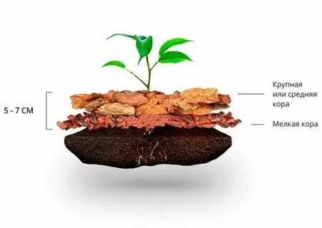 Сколько коры на квадратный метр
