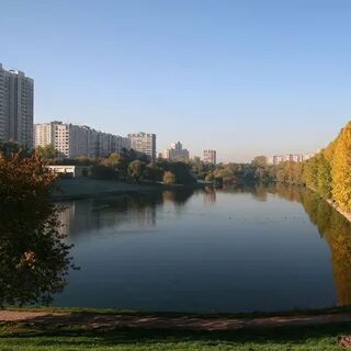 Фили отрадное