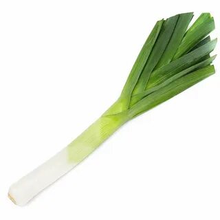 Leek