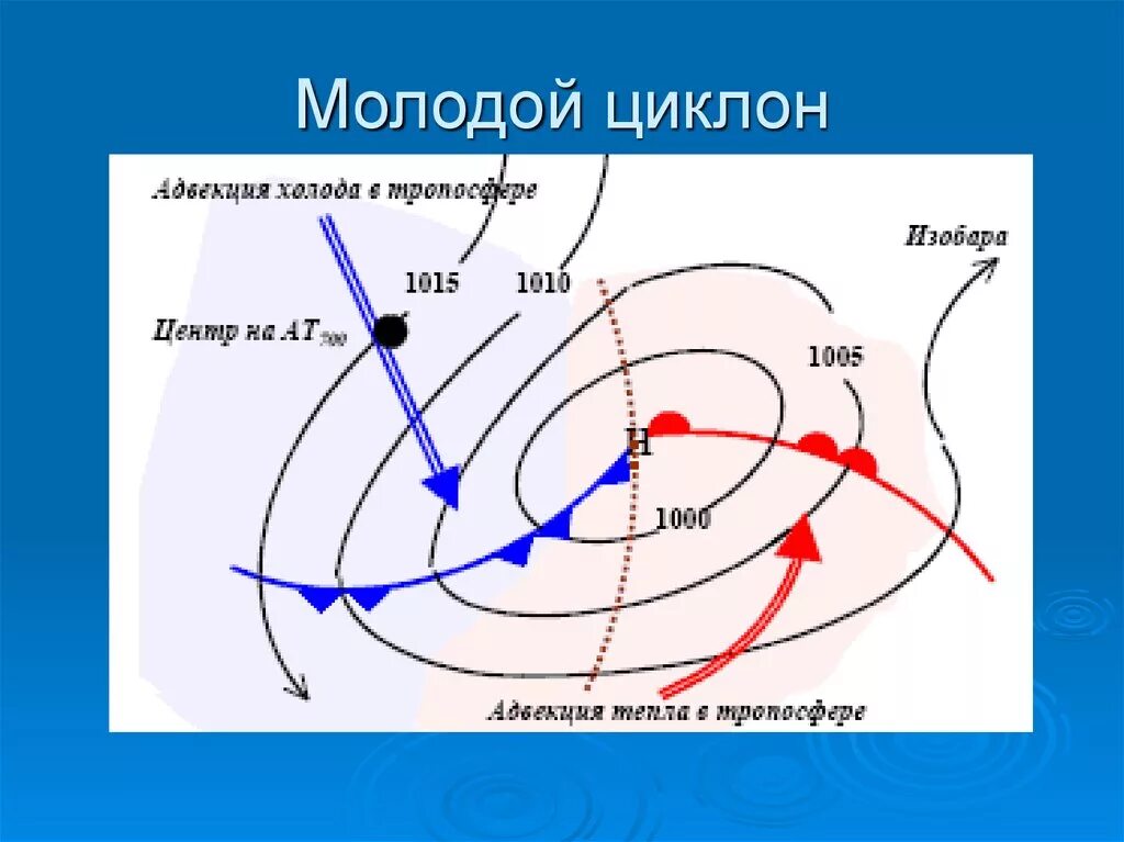 Откуда приходят циклоны. Схема развития фронтального циклона. Схема циклона и антициклона. Циклон тёплый атмосферный фронт антициклон. Атмосферный циклон схема.