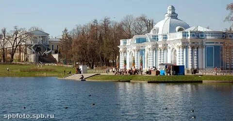 Вода в пушкине