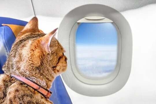 The 27 Best Aviation Photos Of 2015 Aviation humor, Aviation, Airline humor