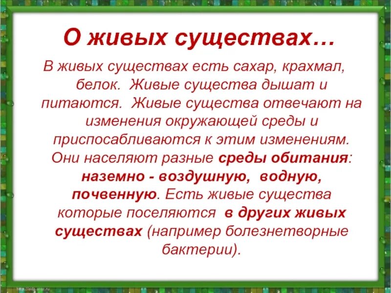 Прочитайте текст все живые существа. Слова живые существа. Сущность живого. Живые существа дышат. Живые существа одним словом.