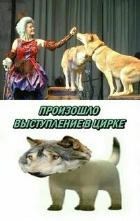 Произошло выступление