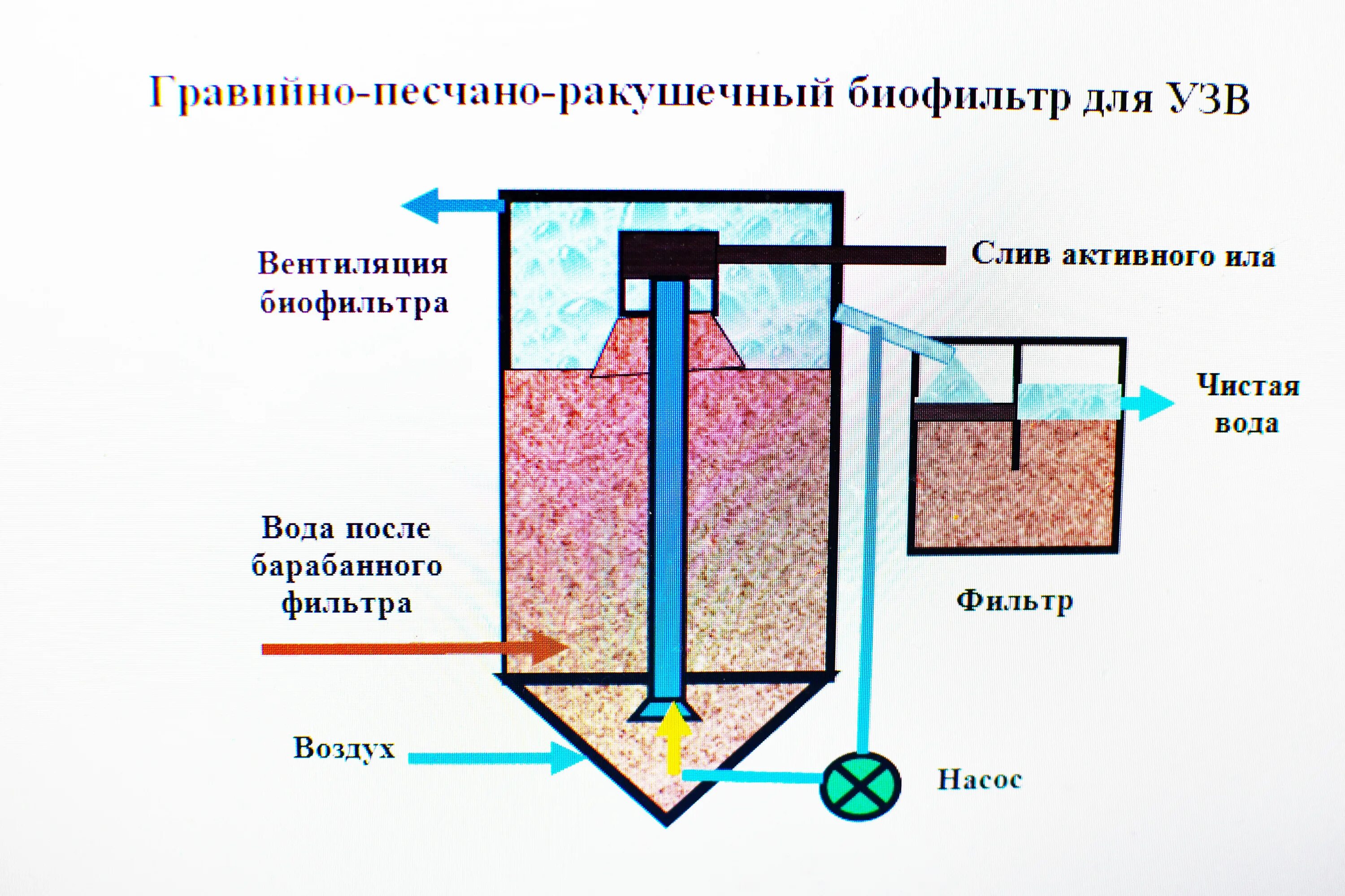 Как происходит очистка в биофильтрах