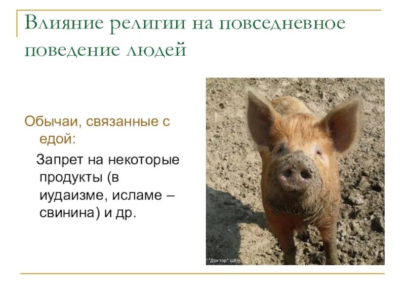 Пример влияния религии на человеческую деятельность Значение в религии