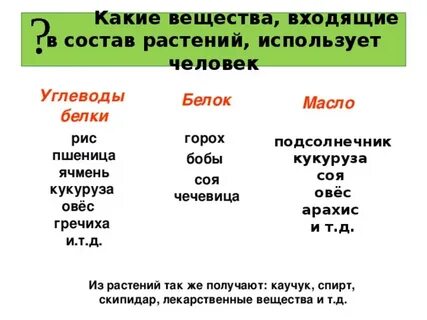 Вещества из которых состоит растение