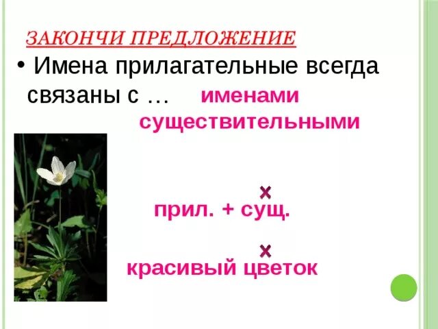 Предложения с числительными прилагательными. Цветы с прилагательным. предложение с именем прилагательным. растение с прилагательным. растения с прилагательными.