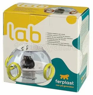 Vc hamster