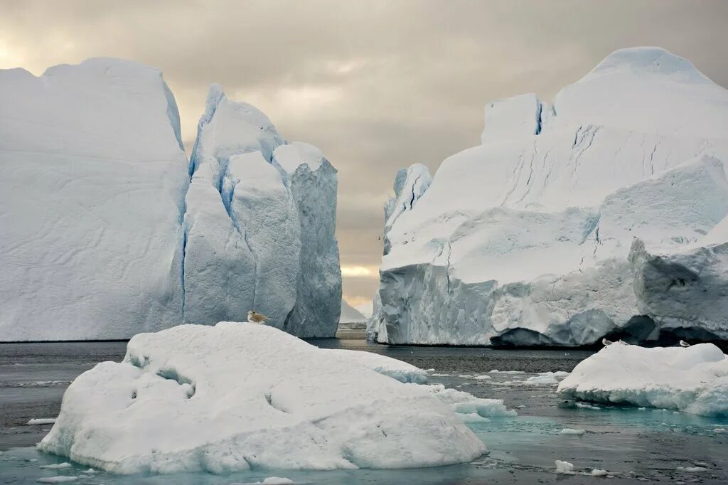 рунический став ледяной щит. накидка на лобовое стекло от снега. озеро байкал зима. голем элементаль кристалл. Ice cube лед.