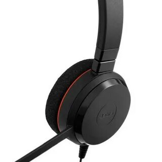 Evolve 20 ms mono