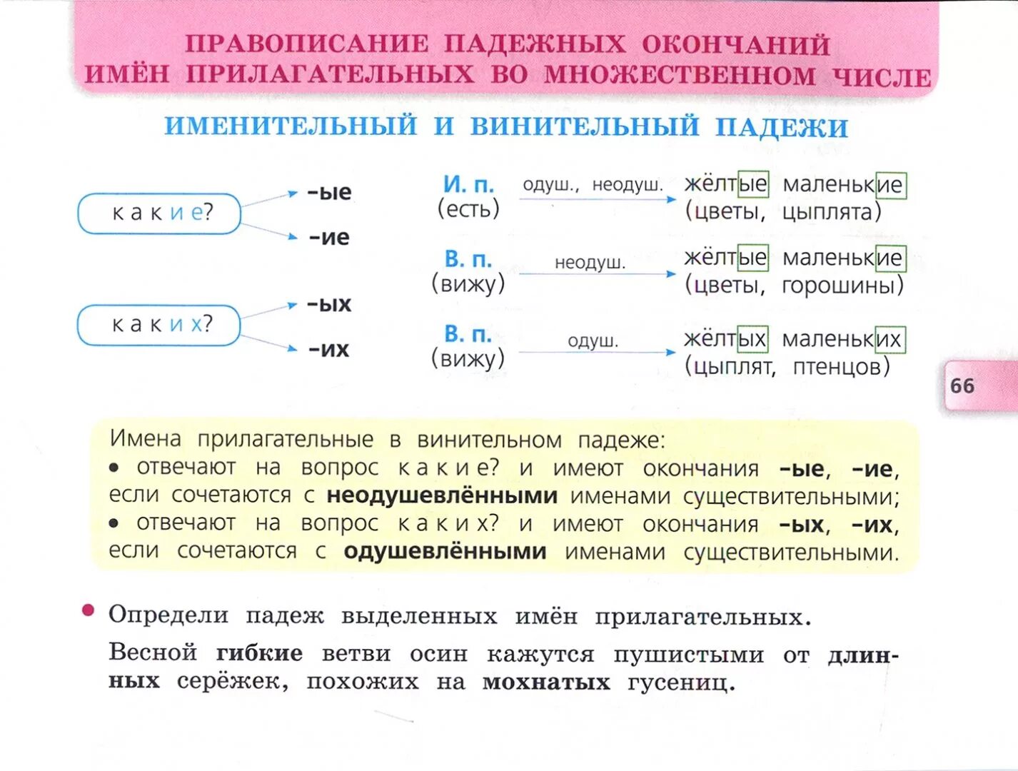 Добычей окончание. Русский язык раздаточный материал 4 класс. Падежи имен прилагательных во множественном числе. Падежные окончания имен прилагательных во множественном числе. Падежные окончания прилагательных множественного числа.