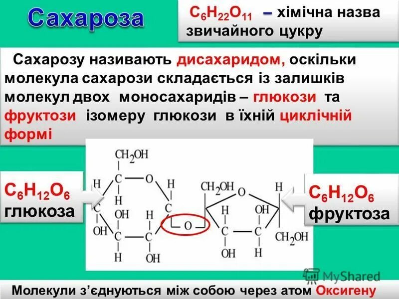 Фруктоза является дисахаридом. Связь в молекуле сахарозы. Вуглеводи Глюкоза сахароза. Сахароза гликозидная связь. Сахароза Тип связи.