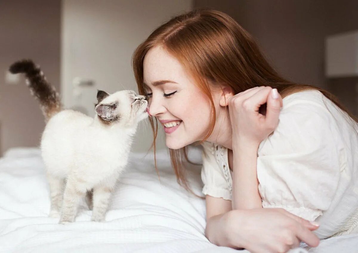 I play with cat. Девушка с котом. Девушка с белым котом. Девушка с котенком. Фотосессия с кошкой.