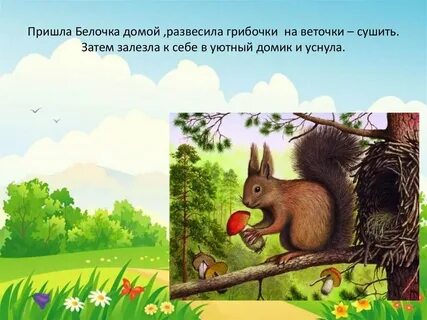 Сказка про белочку